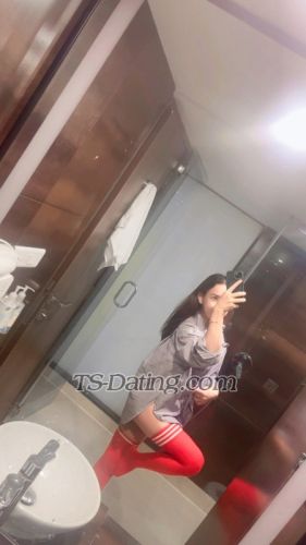 trans girl Tslolly 9454496