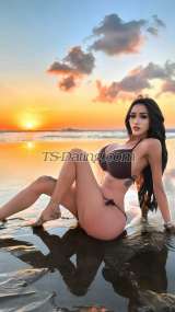 Tsmaudy Bali Transex Hello Gentelmen Iam Maudy shemale ASIAN , its me your fantasy. i can do everything you need  Fully Functional big cum and never take hormone! Friendly and Easy going always OnTime 
With 8inchs, big boobs and my butt xoxo
Available all darling
TS GIRFRIEND EXPERIENCE & ROMANTIC
I’m Here as Your HORNY HELPER 💦

(Available sevice  my dick 8 cm asian)

I can give what u want & what u need 🫦
Maybe that's what you should know about me
my bobos 700cc surgery boobs small belly baby 💦 my dick 8 inch and sure can give your fantasy sex and service sex not just sex but first thing its chemistry & communication may we know each other if you want to know about me lets taste me 💋

✅ Clean Room
✅Safety & Romantic
✅Wild & Sexy too
✅Romantic
✅Exactly Big Butts and Boobs 🤭
✅Local indonesian with exotic skin
✅Poppers
✅Lingerie High Quality
✅Nice Place
✅Good attitude & Actually CAN KEEP SECRETS PRIVATE 🫦