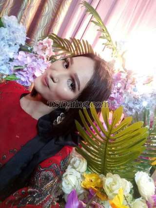 trans girl Tswilmazaza 1192640 trans girl Tswilmazaza 1192640