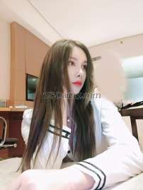 Tsxiaoyao Shanghai Transex viens m'ajouter, viens me voir, j'ai la chambre simple..super grosse surprise entre mes jambes.19cm bite dure mon numéro de wechat: tsnuoer1069