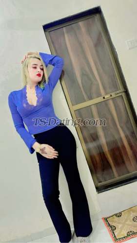 trans girl Tusheikhan 6553894