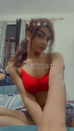trans girl Twinkavni 7317004