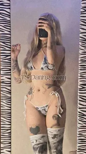 Shemale tattedshane 3398575
