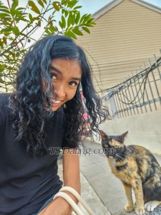 trans girl ticha 8859003