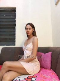 top nocther Calamba Transex Ciao, sono TS Top Notcher, il top dei tuoi sogni, ho un pene da 7 pollici e soprattutto sono duro e funzionale al 100%. 