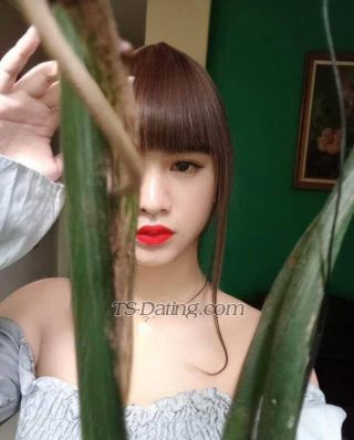 trans girl translisa2003 3621119