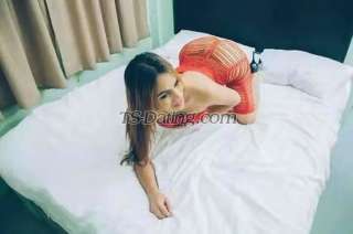 trans girl transmercy 3679491