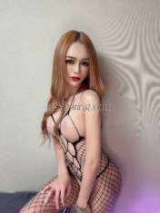 transyoshi Busan Transex I'm yoshi from thai
Now I’m in Changwon 
I'm Good Personality and beautiful body pretty face with the big friendly smile and nice smooth tan skin
I look 100 % same the photo
I am Tall 170 cm. Weight 58 kg.
I have Curve body big soft boobs make 400 cc.
With big sexy ass. and 6 inches cock size Shaved
I’m safe and clean
I’m top and bottom.
Don’t be shy to contact me I am nice and friendly would love to make you happy with good service and big happy cum!!!💦
Choose me You will never Disappointed!💋
❤️ Tell me what is you fantasy and i will make your Fantasy come true😉😘
Service ⬇️
First timer, Massage, cumshot, BJ, DEEP THROAT, ANAL FINGERING, RIMMING, ANAL SEX (PROTECTED), TOP/BOTTOM, 69 , franc kiss, GF experience, Dominate
Contact⬇️

whatsapp : +821024255565
line : nutty011991