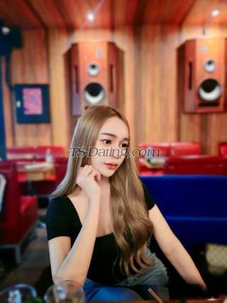 trans girl transyoshi 0474749