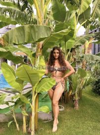 trvekin Izmir Transex Hello My name babyEKİN  I AM 24 years

COUPLES 
ACTIVE 
PASSIVE 
BLOW JOB wthout condon (if you stay clean ) 
KISSES TOUNGUE 
MASSAGE 
DATINGS SERVICE 
DRESS SERVICE 
VERY DOMINATION 
MASTURBATION 
GOLDEN SHOWER 
MISTRESS 
ANAL MASSAGE 
FINGERING 
EROTIC MASSAGE 
KISS 
69 
LICK AND SUCK THE TESTICLES 
FULL BODY SENSUAL MASSAGE 
SEX GAMES 
PROSTATE MASSAGE 
SPANK 

greetings to all
Athens until 6 July
hotel and in my own apartment
I greet you in the most gracious way
most stylish for hotel visits
I come gracefully
a full woman
in couples (super active to women)
open to all fantasies

I can visit hotel or privat home. 
I have female identification on my documents 
Always well very dressed. ( beautiful / sexy - discreet

Im average height and weight, voluptuous where its desirable.
I love being dominant, and I can be passive or active with my 15 cm 
For my adress please ,contact me 30min before 🔥🔥🔥🔥 

