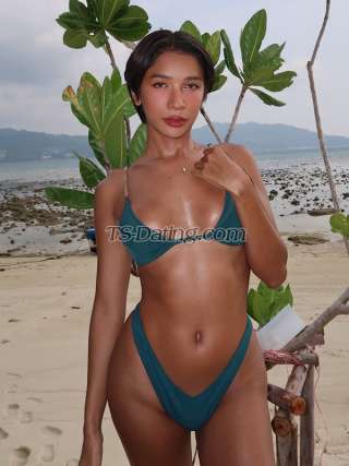 trans girl tungmay2542 8900507 trans girl tungmay2542 8900507