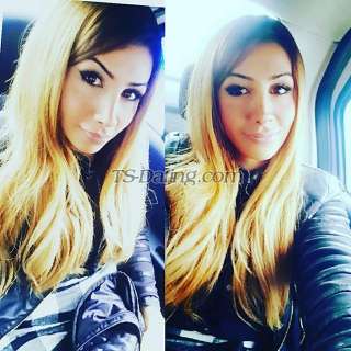 trans girl turkishshe 1046485