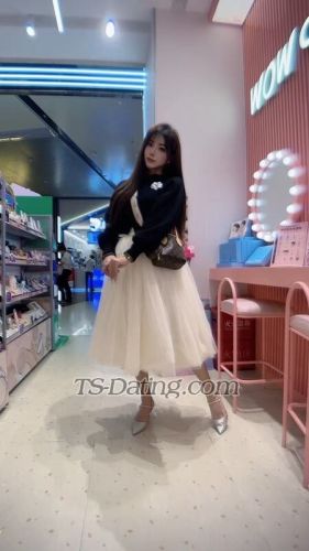 trans girl tutu1069 4845864