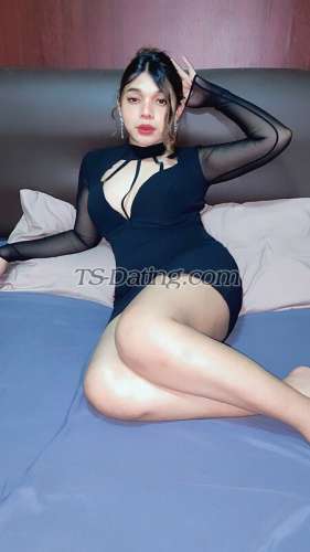 trans girl urQueenkarina 6413443 trans girl urQueenkarina 6413443