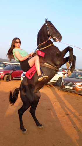 trans girl Vanessa6 0111025