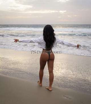 trans girl Vannia 3944324