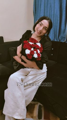 trans girl Vanshikasexy 9719699 trans girl Vanshikasexy 9719699