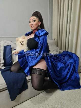 trans girl paula23cm 6801885