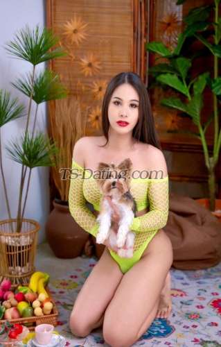 trans girl Venus2727 7440663