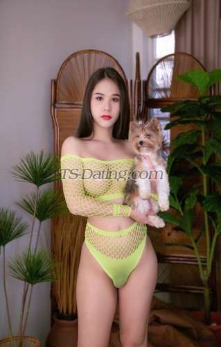 trans girl Venus2727 7441182