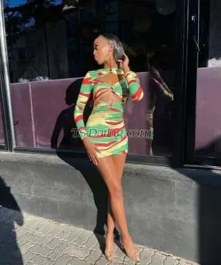 Shemale Versatileshe 1106266