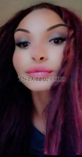 Shemale-Vikitrans-2119963