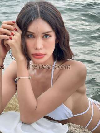 trans girl Viky2909 7176955 trans girl Viky2909 7176955