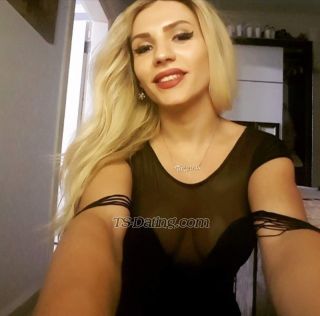 trans girl Vildan 0636988