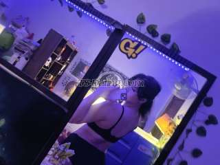 trans girl Violetxxx 4459115