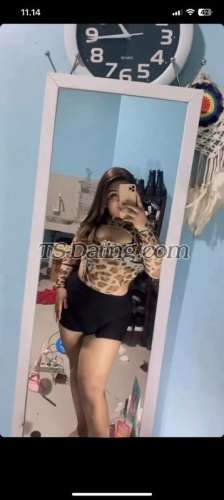 trans girl Vionaliu 3096905