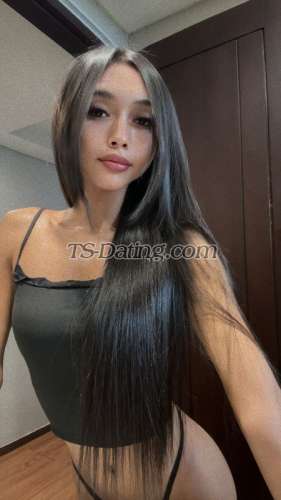 trans girl Vionetta 7444351