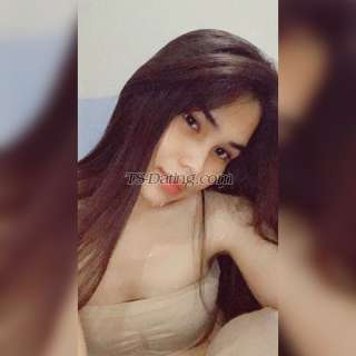 trans girl Virginvip 8289099