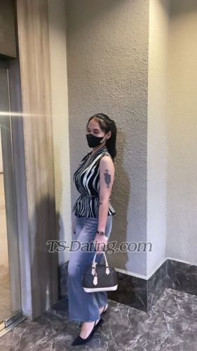 trans girl Vivi1708 2630018