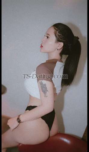 trans girl Vivi1708 6627791