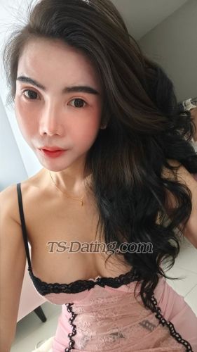 trans girl Vivi85 7011811