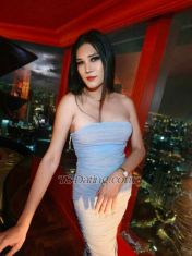 valentina2530 Bangkok Transex I’m Valentina Thai Tall ladyboy. Sukumvit Bangkok I'm a funny guy, working 24 hours a day. Work freelance. Contact me. 🙏🏼
VERY HORNY BIG CUM! 🍆💦
I need
Pre op trans big cock!
Good services, i can do everything u need!
I like to top and bottom
Party together , gf experience
Big cum

I’m ready for all of your requests like body massage, dating, taking care, top or bot.

I'm more of a romantic person and good services , I'm also into light kinky sex. I do anal.
I can serve everything you need. Let’s have fun with me.

 I'll make you feel comfortable like girlfriend experience. 
 
Things I can do I't Top & Bottom ⬆️⬇️ 
First welcome, 😊 Welcome, lover 👫🧍 
have a show of camsex 📱 Kissing, Rimming 😋, 69💋 I can cum 💧 Body to Body Good Massage 💆‍♂️ Party

✅Line :pocky_ice
✅whatsapp ‪+66 94 193 5652
✅WeChat ID:ms45229
✅ http://onlyfans.com/tspocky
❤️:cam show! I have XXX, 💵💰