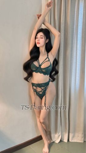 trans girl vaniagabrelly 5062929