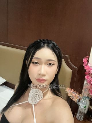 trans girl venusbeauty12 3414257 trans girl venusbeauty12 3414257