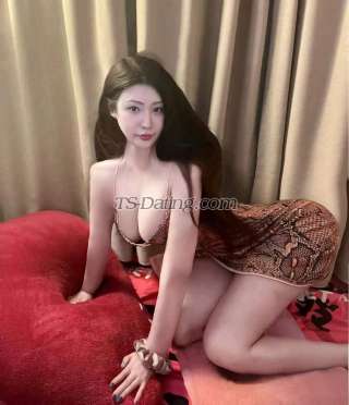 trans girl vincetrans 2004726