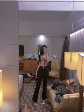 trans girl vincetrans 6610405