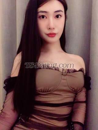 trans girl vincetrans 8554376