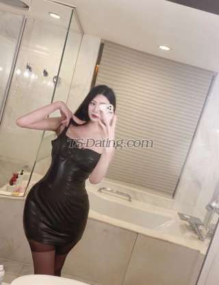 trans girl vincetrans 8982101