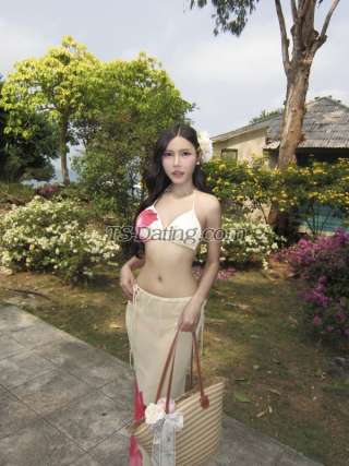 trans girl vista 2964728