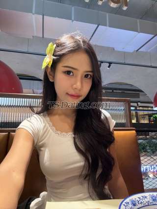 trans girl vista 3317211