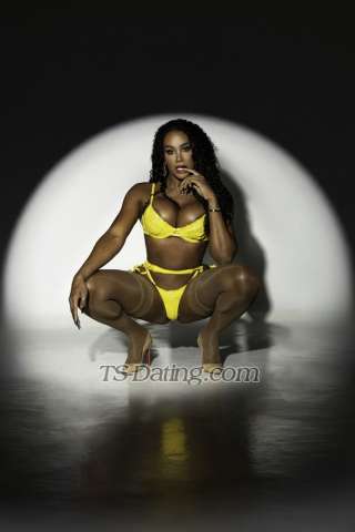 trans girl vivi23cm 1176158