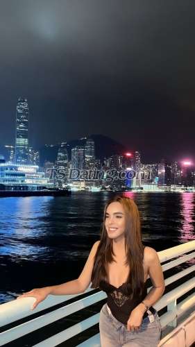 trans girl WifeMaterial 4200593