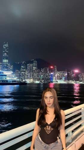 trans girl WifeMaterial 4200632