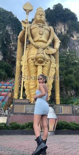 trans girl WifeMaterial 7451329