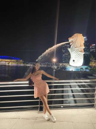 trans girl WifeMaterial 7451428