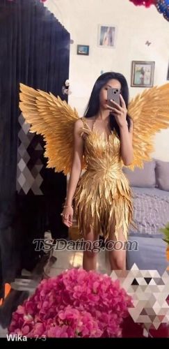 trans girl Wikakey 9463916 trans girl Wikakey 9463916